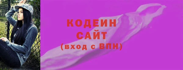 индика Кодинск