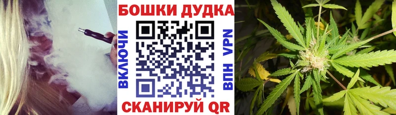 Шишки марихуана ГИДРОПОН  Купить  Аша 
